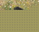 тэм2-6023
