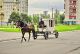 Без описания