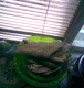 1304998772_6696.gif