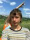следующее фото
