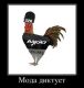 Без описания