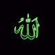 1306655221_8488.gif