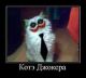 Без описания