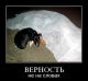 Без описания