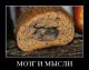 Без описания