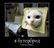 Без описания