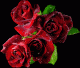 1324656183_5202.gif