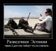 предыдушее фото