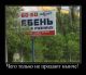 Без описания