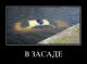 А вы как думали выглядит водная полиция?