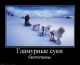 Без описания