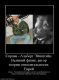 следующее фото