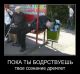 Без описания
