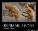 Без описания