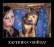 Без описания