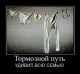 следующее фото
