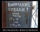 следующее фото