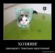 Без описания