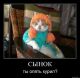 Без описания