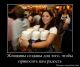 Без описания