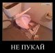 Без описания
