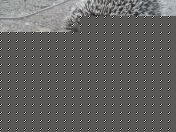 На пляже в Гидропарке