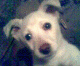 1310319527_3851.gif