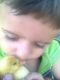 1310663778_8478.jpg