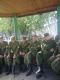Без описания