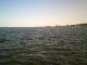 1312292105_2941.jpg