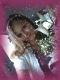 1316333728_1522.png