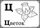 ц