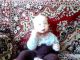 1313815513_3059.jpg