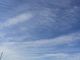 1312957125_6091.jpg