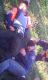 1313596107_4143.jpg