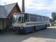 икарус 256