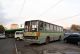 икарус 260