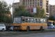 икарус 260