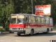 икарус 250