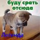 Без описания