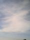 1316192741_4831.jpg