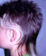 1319261910_2678.gif