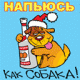 Напьюсь-