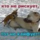 Риск
