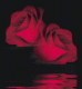1321453506_8350.gif