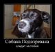 Без описания