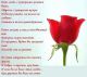 предыдушее фото