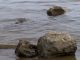 1320136594_7262.jpg