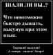 предыдушее фото