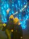 1320259891_1249.jpg